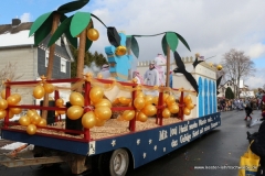 rosenmontagszug-2018-79